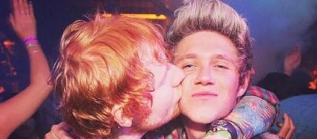 Niall Horan traiu a confiança do seu amigo. Niall Horan traiu a confiança do seu amigo.