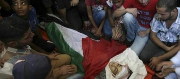 niños en la franja de Gaza niños en la franja de Gaza