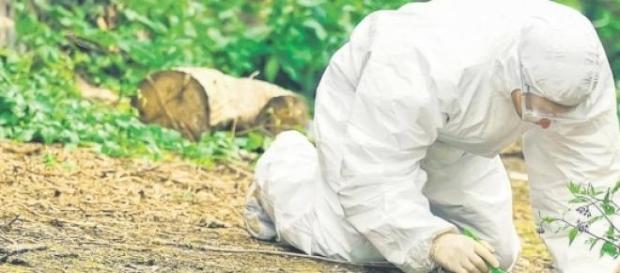 Un bărbat a fost ucis și îngropat pe câmp! Un bărbat a fost ucis și îngropat pe câmp!