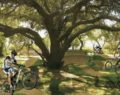 Parque Sarmiento: Jóvenes impulsan la creación de un 'Bike Park'