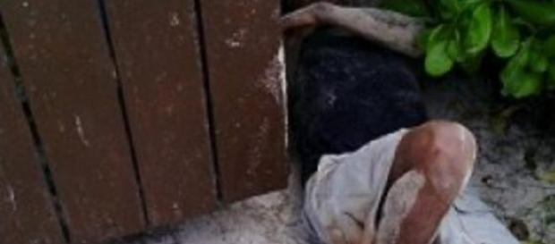 El joven chiapaneco cuando lo encontraron. El joven chiapaneco cuando lo encontraron.