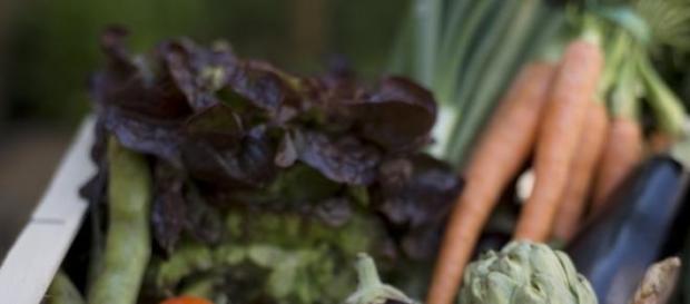 La sana alimentacion es salud fisica y mental La sana alimentacion es salud fisica y mental