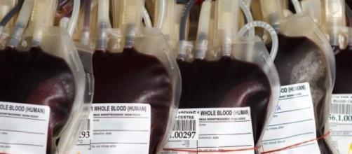 ¿Por qué no quieren recibir transfusiones?