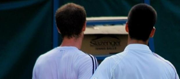 'Back' in another semi: Murray and Djokovic 'Back' in another semi: Murray and Djokovic