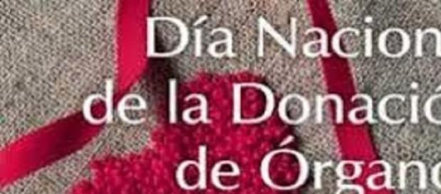 Donación de órganos: Una gran decisión Donación de órganos: Una gran decisión