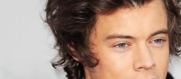 Harry Styles não quer falar do seu futuro. Harry Styles não quer falar do seu futuro.