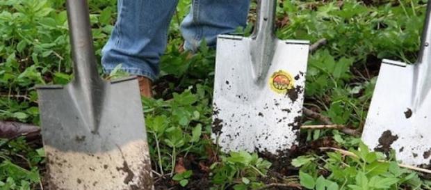 Le jardinage aide certains malades à aller mieux Le jardinage aide certains malades à aller mieux