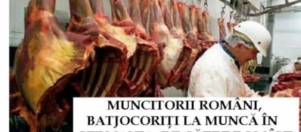 Români la muncă în Germania Români la muncă în Germania
