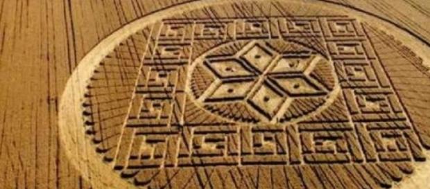 Ufo: misteriosi cerchi nel grano a Siena? Ufo: misteriosi cerchi nel grano a Siena?