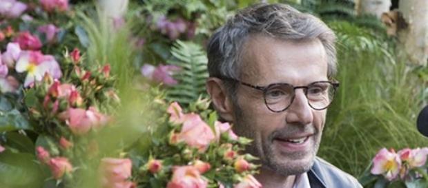 Un rosier Lambert Wilson. © Caroline Paux Un rosier Lambert Wilson. © Caroline Paux