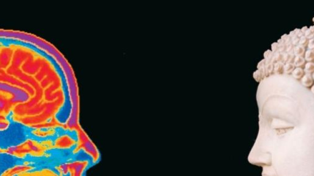 Immagine da Mehau Kulyk/Science Photo Library.