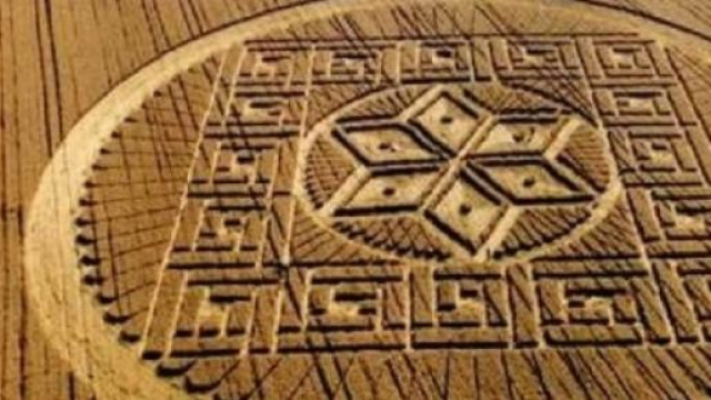 Ufo: misteriosi cerchi nel grano a Siena?