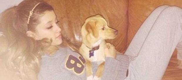 Ariana considers her pups part of the family Ariana considers her pups part of the family