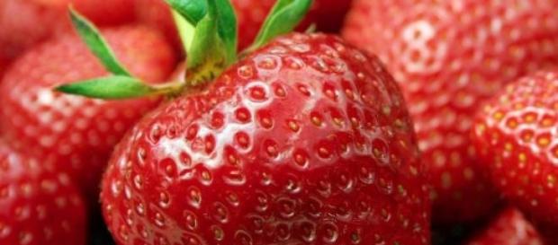 Morangos, fruta inovadora na produção de "vinho". Morangos, fruta inovadora na produção de "vinho".