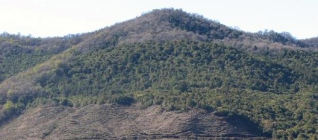 Serranía boscosa con zona inferior talada Serranía boscosa con zona inferior talada