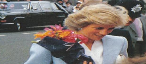 Uma homenagem à Princesa do Povo. Uma homenagem à Princesa do Povo.