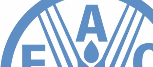 La FAO elige nuevamente a su Director-General La FAO elige nuevamente a su Director-General