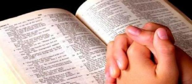 La lectura es importante para la buena redacción La lectura es importante para la buena redacción
