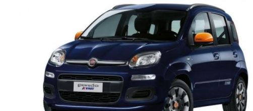 Un'immagine della nuova Fiat Panda k-Way