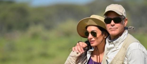 Le couple Clooeny en Afrique du Sud Le couple Clooeny en Afrique du Sud