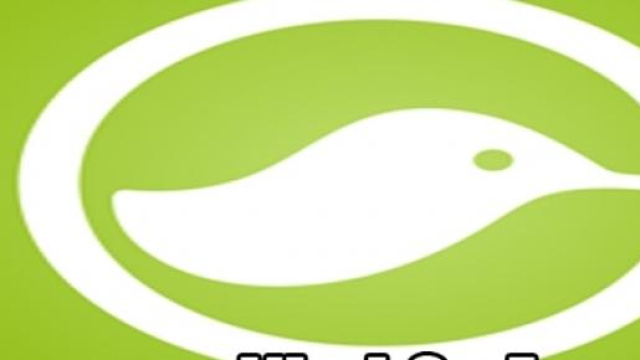 Cos'&egrave; Kiwi e come si utilizza? 