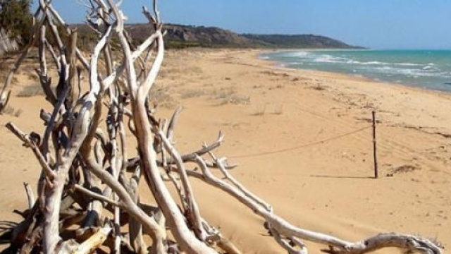 Emergenza immigrati, il piano del governo