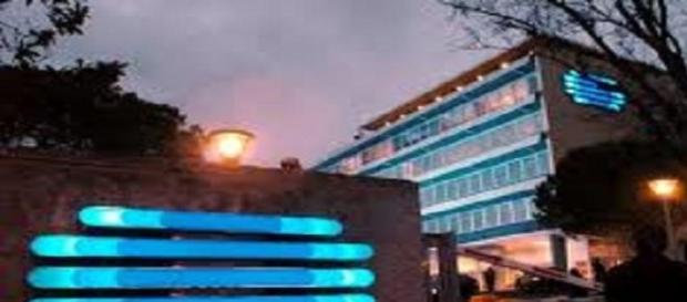 Rtp vai ter novos programas neste Verão Rtp vai ter novos programas neste Verão