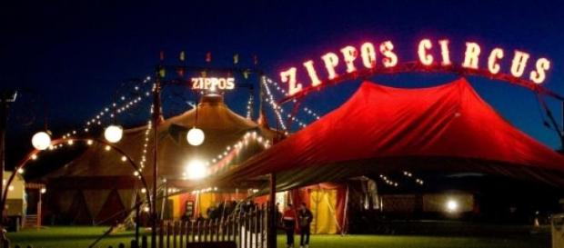 Zippos, a traditional circus. Zippos, a traditional circus.