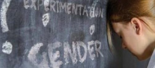 Riforma scuola e teoria 'gender' ultime notizie