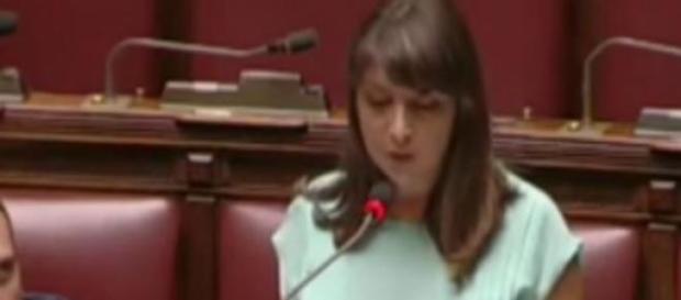 Riforma scuola, M5S #nientepaura 'Governo Renzi Riforma scuola, M5S #nientepaura 'Governo Renzi