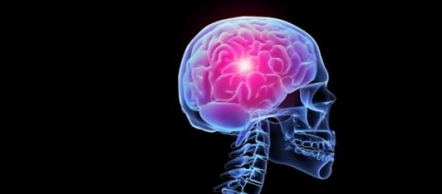 Qué hicieron las mujeres con nuestro cerebro Qué hicieron las mujeres con nuestro cerebro