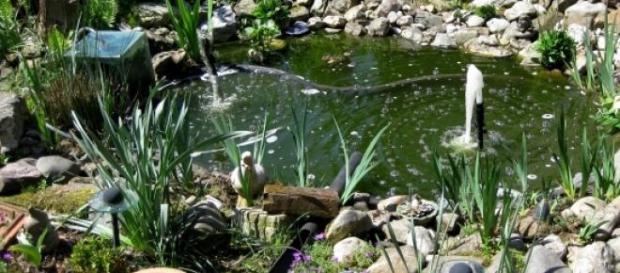 ZDF Fernsehgarten am 12. Juli ab 11 Uhr ZDF Fernsehgarten am 12. Juli ab 11 Uhr