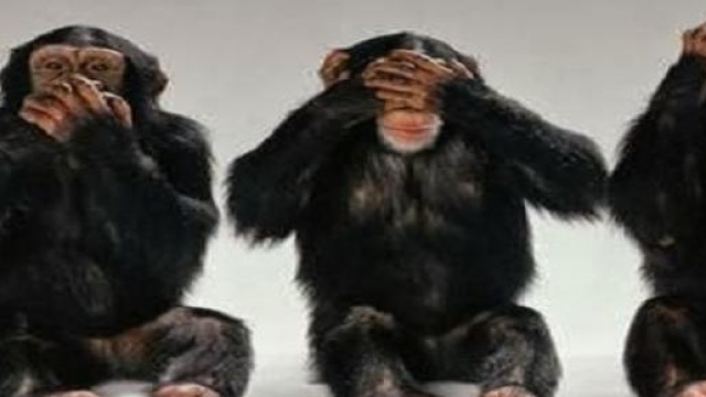 Maxi sequestro di carne in Cina