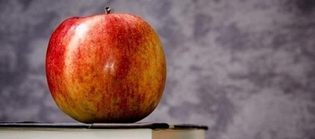 Domanda assunzioni scuola 2015/16 Domanda assunzioni scuola 2015/16