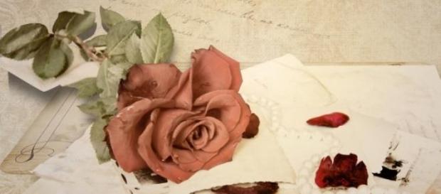 Scrisoare către mama vitregă a fiicei mele Scrisoare către mama vitregă a fiicei mele
