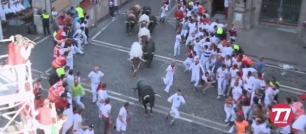 Séptimo encierro de San Fermín 2015 / 7del7.com Séptimo encierro de San Fermín 2015 / 7del7.com