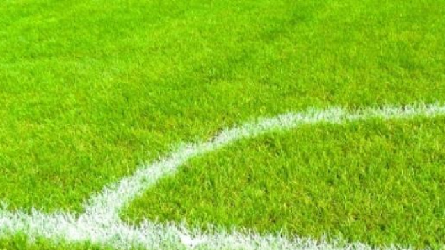 Champions, pronostici preliminari del 15 luglio 