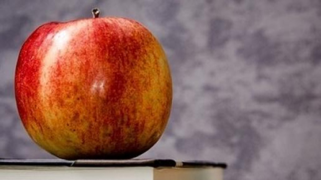 Domanda assunzioni scuola 2015/16