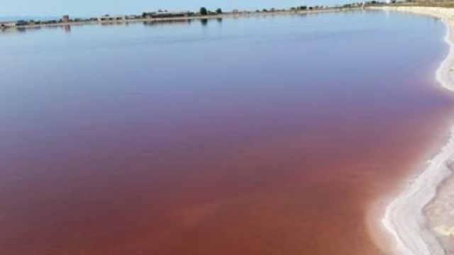 saline di margherita di savoia in puglia