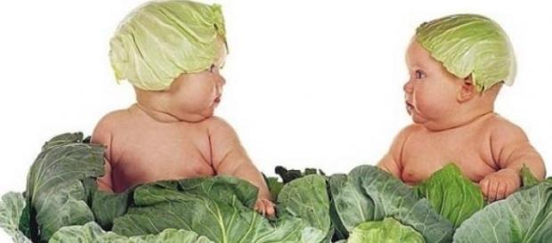 Bambino vegetariano, il desiderio. Bambino vegetariano, il desiderio.
