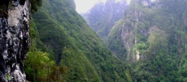 Levada do Caldeirão Verde, na ilha da Madeira. Levada do Caldeirão Verde, na ilha da Madeira.
