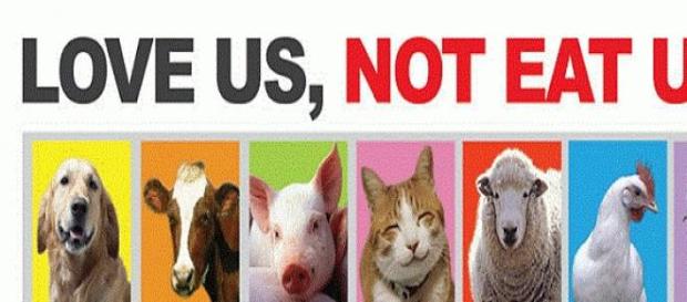 Lettera aperta a vegani e vegetariani Lettera aperta a vegani e vegetariani
