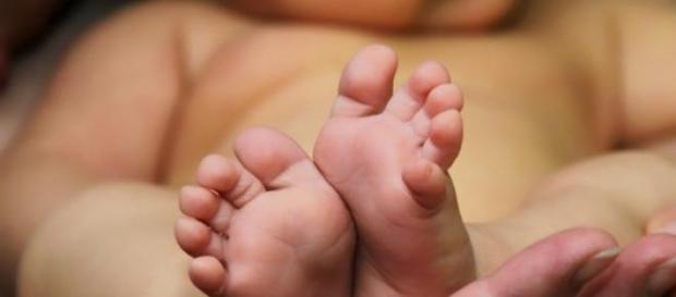Tagliano per sbaglio genitali a neonato Tagliano per sbaglio genitali a neonato