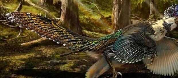 Reconstituição do novo fóssil de dinossauro. Reconstituição do novo fóssil de dinossauro.