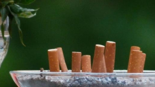 Filtri biodegradabili con semi di piante