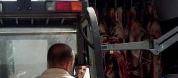 Carne apreendida após acidente de viação Carne apreendida após acidente de viação