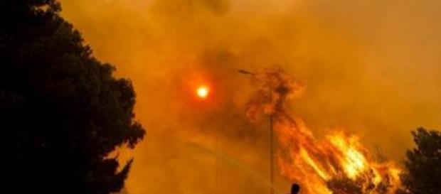 Incendi alla periferia di Atene Incendi alla periferia di Atene