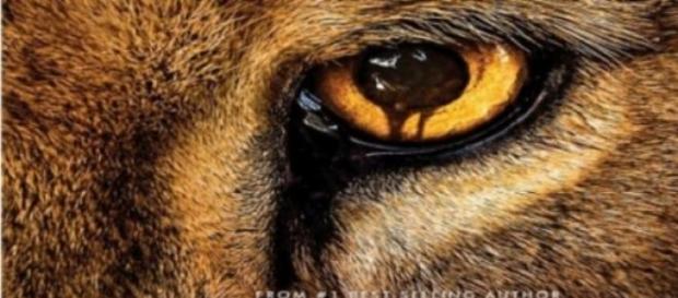 Zoo la nueva serie de Mediaset Zoo la nueva serie de Mediaset
