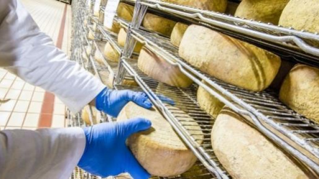 Che fine faranno i formaggi made in Italy