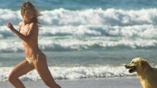 Dove andare al mare con il cane in Italia